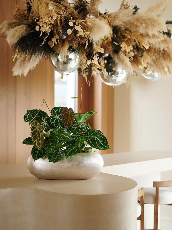 Кашпо Baq metallic silver leaf boat matt light champagne L56 W23 H20 см Кашпо Baq metallic silver leaf boat matt light champagne L56 W23 H20 см