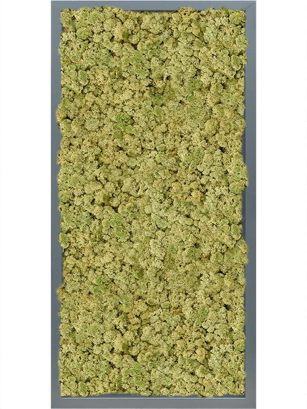 Картина из мха mdf ral 7016 satin gloss 100% reindeer (oldgreen) L80 W40 H6 см