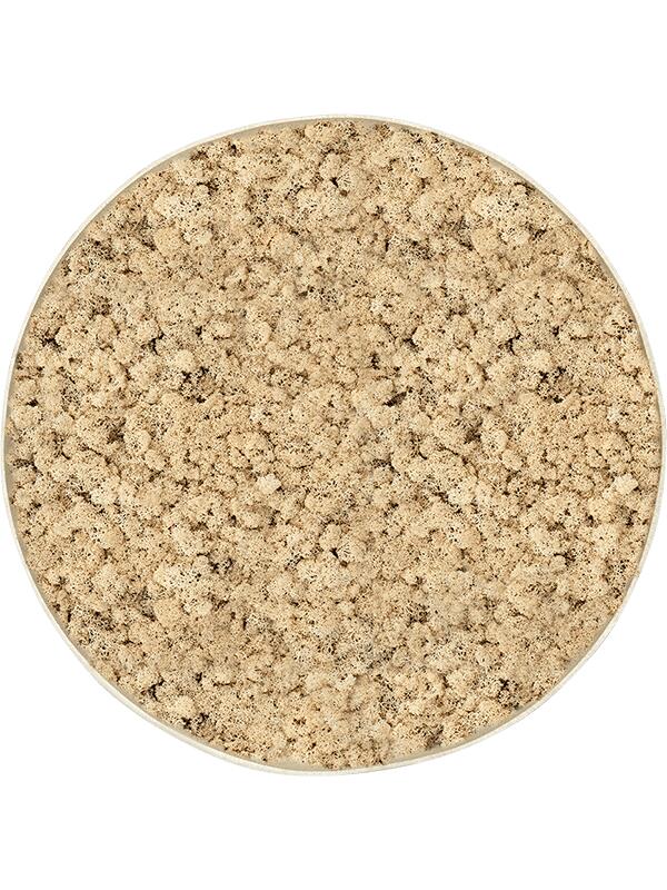 Картина из мха nova frame antique white-concrete 100% reindeer (natural) D30 H5 см