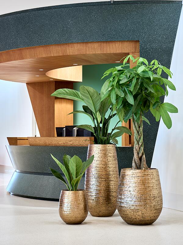 Кашпо Baq opus hammered darcy gold (с техническим горшком) D59 H69 см