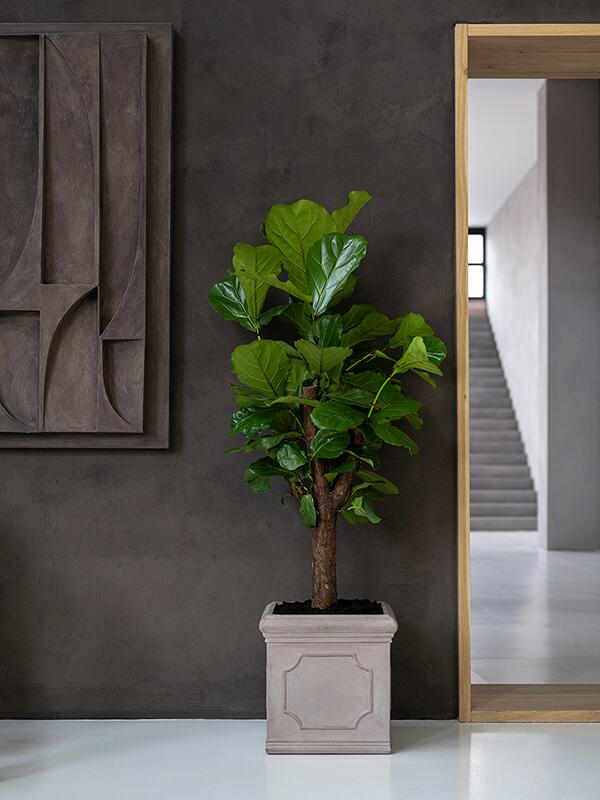 Кашпо Heritage block classic m taupe L40 W40 H40 см