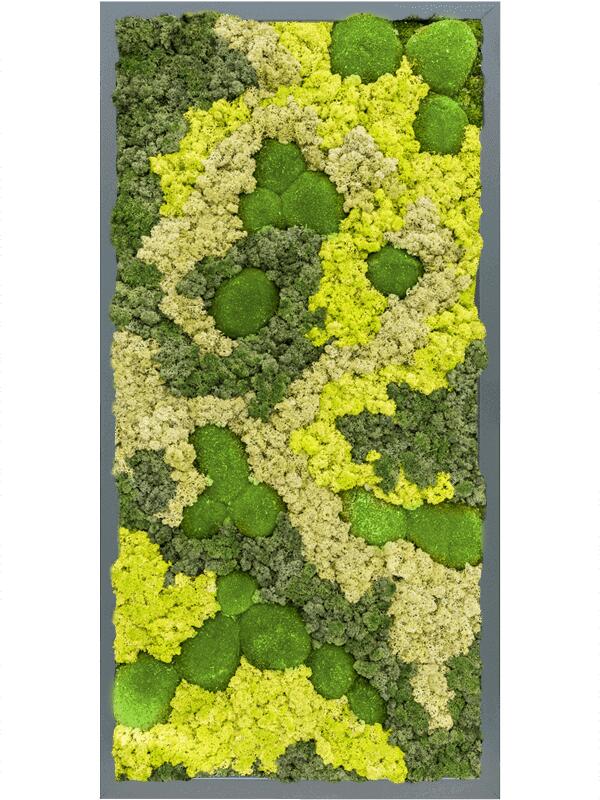 Картина из мха mdf ral 7016 satin gloss 30% ball moss 70% reindeer moss (mix) L80 W40 H6 см