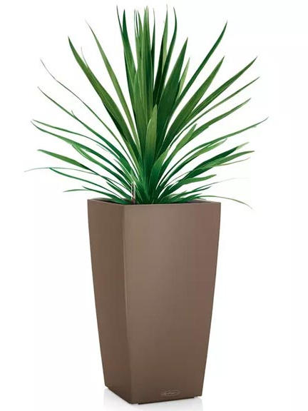 Кашпо Lechuza Cubico Color