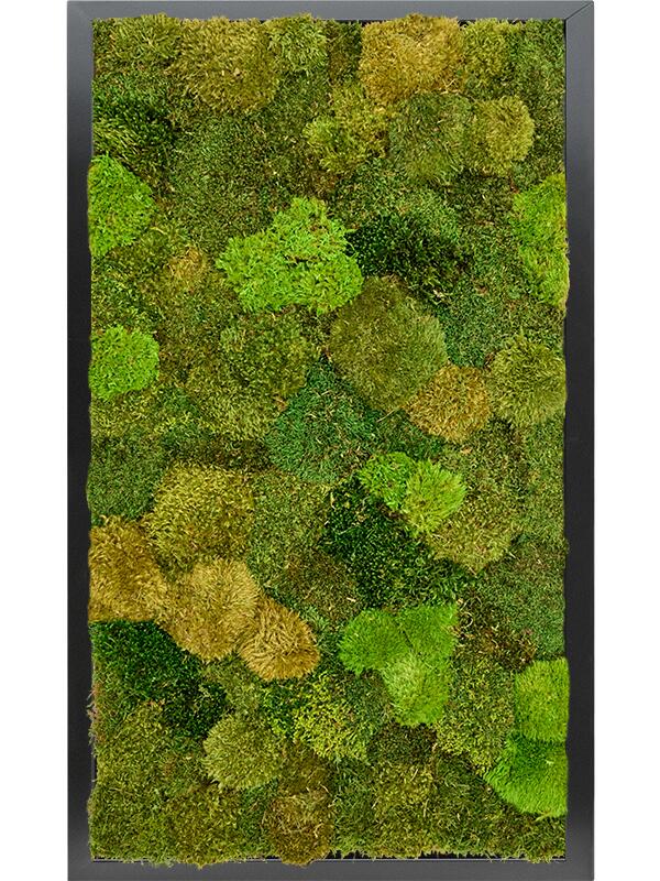 Картина из мха mdf ral 9005 satin gloss 20% flat and 80% exclusive moss (mix) L100 W60 H6 см