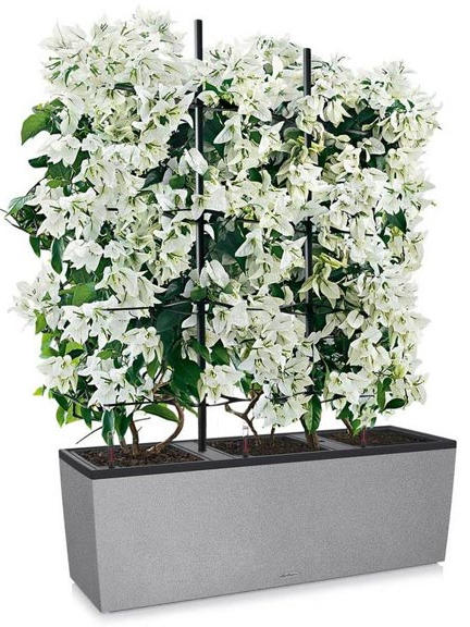 Кашпо Lechuza Trio Stone