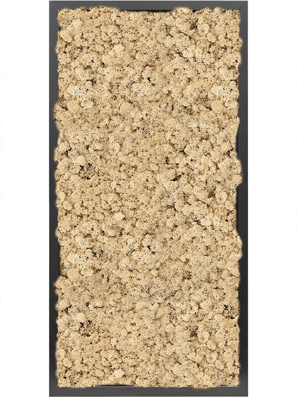 Картина из мха mdf ral 9005 satin gloss 100% reindeer moss (natural) L80 W40 H6 см