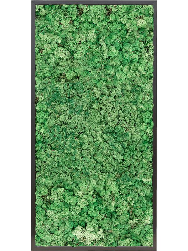 Картина из мха mdf ral 9005 satin gloss 100% reindeer moss (grass green) L120 W60 H6 см