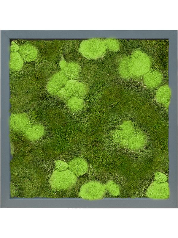 Картина из мха mdf ral 7016 satin gloss 30% ball- and 70% flat moss L40 W40 H6 см