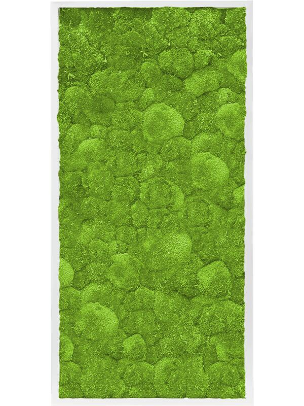 Картина из мха mdf ral 9010 satin gloss 100% ball moss L120 W60 H6 см
