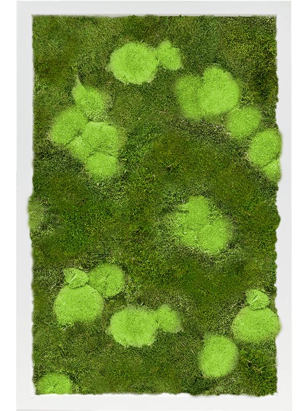 Картина из мха mdf ral 9010 satin gloss 30% ball- and 70% flat moss L60 W40 H6 см