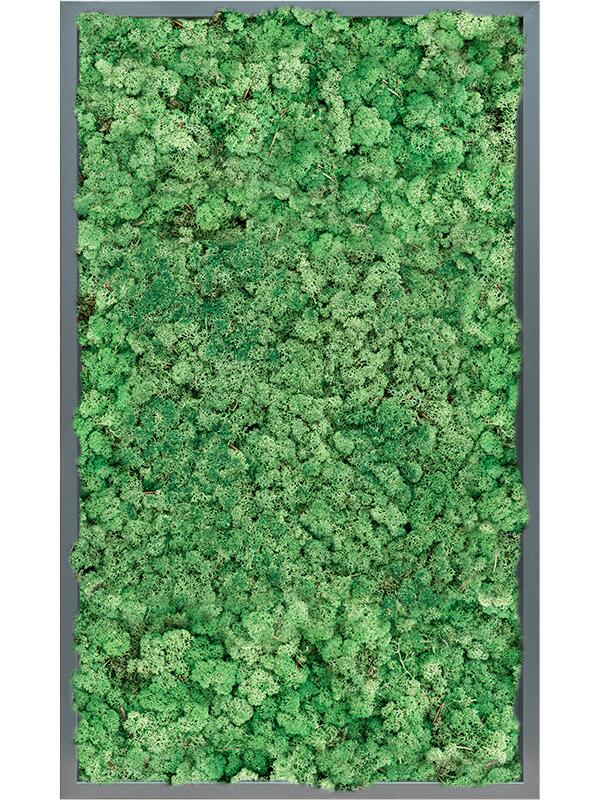 Картина из мха mdf ral 7016 satin gloss 100% reindeer (grass green) L100 W60 H6 см