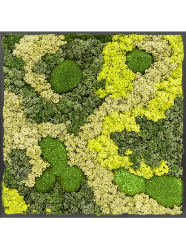 Картина из мха mdf ral 9005 satin gloss 30% ball moss 70% reindeer moss (mix) L60 W60 H6 см