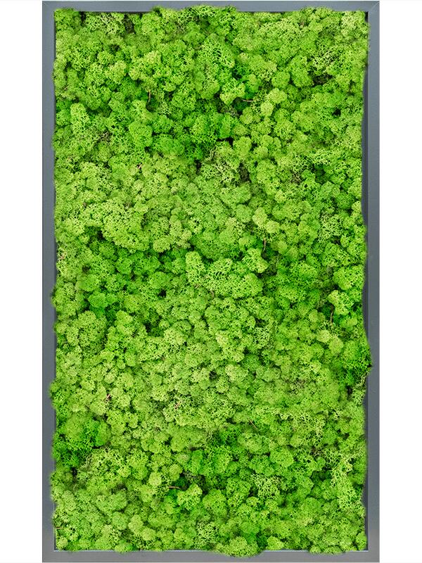 Картина из мха mdf ral 7016 satin gloss 100% reindeer (light grass green) L100 W60 H6 см