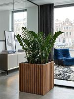 Кашпо Baq radia square natural (с техническим горшком) L38 W38 H38 см