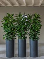 Кашпо Fiberstone klax m black D30 H60 см