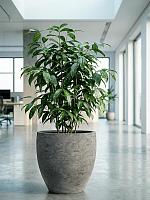 Кашпо Baq algar couple grey D44 H44 см