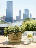 Кашпо Greenville bowl golden sand D33 H19 см