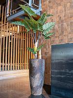 Алоказия искусственная H160 D20 см Алоказия искусственная H160 D20 см