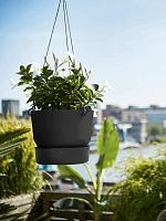 Кашпо подвесное Greenville hanging basket living black D24 H21 см