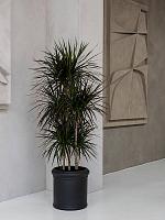 Кашпо Heritage max classic s black D30 H30 см