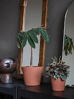 Кашпо Ceramic inez l peacan brown D16 H15 см