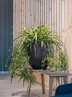 Кашпо Rough orb m black washed D48 H43 см Кашпо Rough orb m black washed D48 H43 см