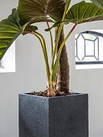 Кашпо Granite bouvy l midnight black L40 W40 H80 см