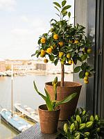 Кашпо Artstone claire pot oak D37 H34 см