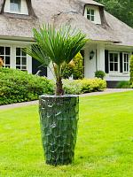 Кашпо Cascara vase holly green D42 H74 см