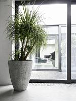 Кашпо Oyster oliver l imperial white D70 H83 см