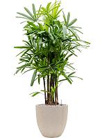 Кашпо Baq raindrop couple beige D44 H43 см