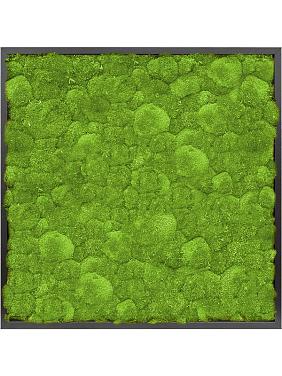 Картина из мха mdf ral 9005 satin gloss 100% ball moss Картина из мха mdf ral 9005 satin gloss 100% ball moss
