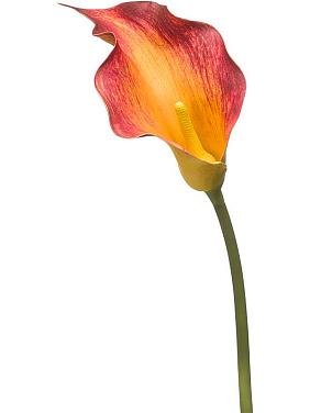 Калла желто-красная искусственная Калла желто-красная искусственная