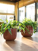 Кашпо Nine pot old pink D17 H15 см