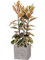 Кашпо Capi nature rib nl planter square ivory L50 W50 H50 см Кашпо Capi nature rib nl planter square ivory L50 W50 H50 см