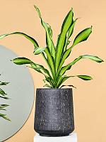 Кашпо Baq raindrop darcy anthracite D41 H37 см