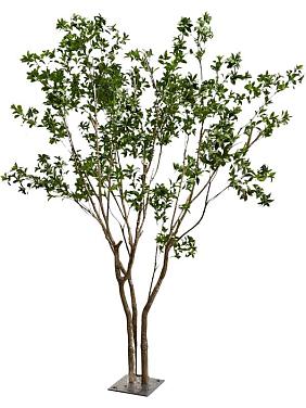 Лаурель многоствольная искусственная Лаурель многоствольная искусственная