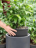 Кашпо Baq basic cylinder dark grey (mit einsatz) D40 H68 см