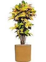 Кашпо Cylinder pot honey D40 H40 см