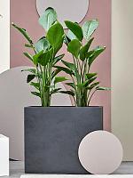 Кашпо Grigio divider anthracite L80 W30 H68 см