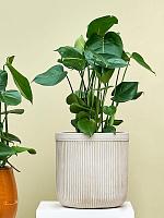 Кашпо Baq vertical rib cylinder beige D30 H31 см