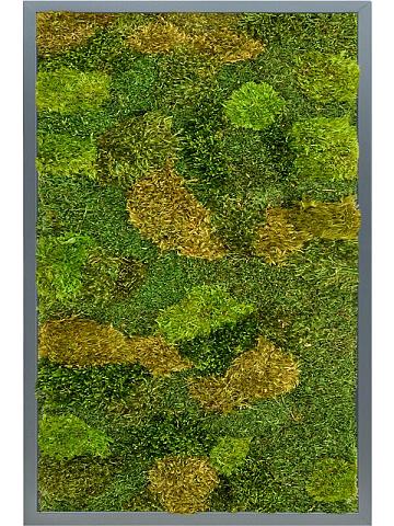 Картина из мха mdf ral 7016 satin gloss 20% flat and 80% exclusive moss (mix) Картина из мха mdf ral 7016 satin gloss 20% flat and 80% exclusive moss (mix)