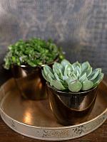 Кашпо Sven pot gold D16 H13 см