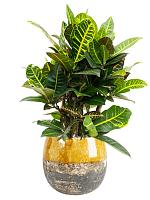 Кашпо Lindy pot ochre D30 H25 см