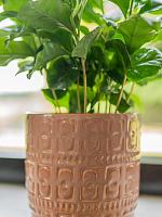 Кашпо Silva pot blush D12 H11 см