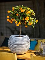 Кашпо Capi nature rib nl vase ball ivory D40 H32 см Кашпо Capi nature rib nl vase ball ivory D40 H32 см