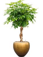 Кашпо Baq metallic silver leaf couple matt honey (с техническим горшком) D50 H45 см