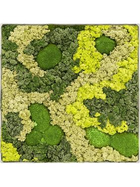 Картина из мха nova frame antique white-concrete 30% ball moss 70% reindeer moss (mix)