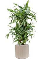 Кашпо Baq raindrop cylinder beige D34 H32 см