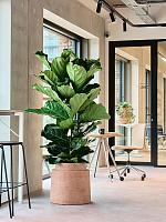 Кашпо Colorado planter terra dark D50 H48 см